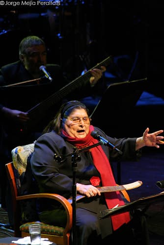 Mercedes Sosa - Nicaragua 2008- 2300976656-Mejía Peralta (3)
