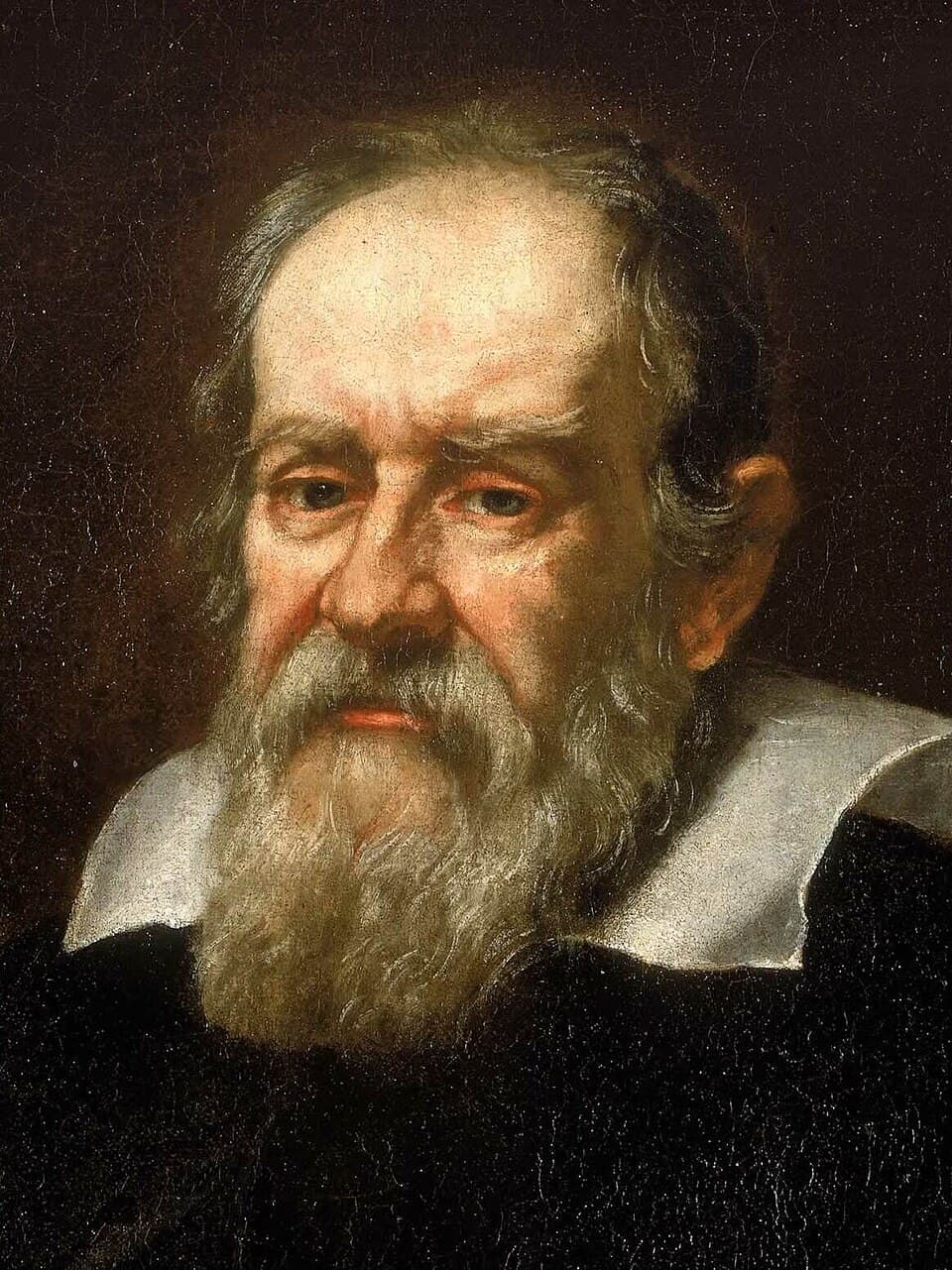 Portrait of Galileo Galileilabel QS:Les,"Retrato de Galileo Galilei"label QS:Lfr,"Portrait de Galilée"label QS:Len,"Portrait of Galileo Galilei"label QS:Ltr,"Galileo Galilei Portresi"
