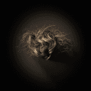 Cheveux hirsutes caractéristiques