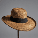 Chapeau à large bord à plumes