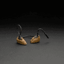 Oreillettes de scène (in-ear monitors)