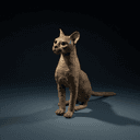 Chat momifié