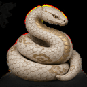 Serpent blanc
