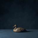 Le canard de la Femme assise