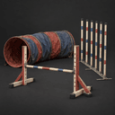 The dog agility obstacles