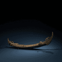 Pirogue de guerre (thuyền chiến)