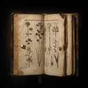 Herbier et plantes médicinales