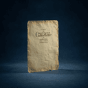 La Constitution canadienne de 1982