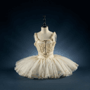 Tutu de scène (costume du Lac des cygnes)