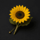 La fleur de lys ou de tournesol à la boutonnière