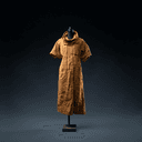 Le vêtement de couleur ocre (kavi vastra)