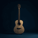 Guitare électrique ou acoustique