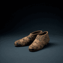 Giày thêu (chaussures brodées)