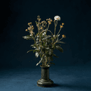 Herbier de médecine traditionnelle chinoise