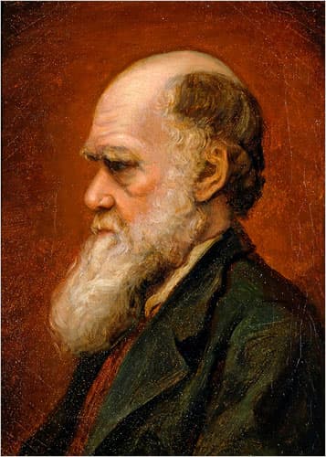 Portrait of Charles Robert Darwin, by Laura Russell, 1869