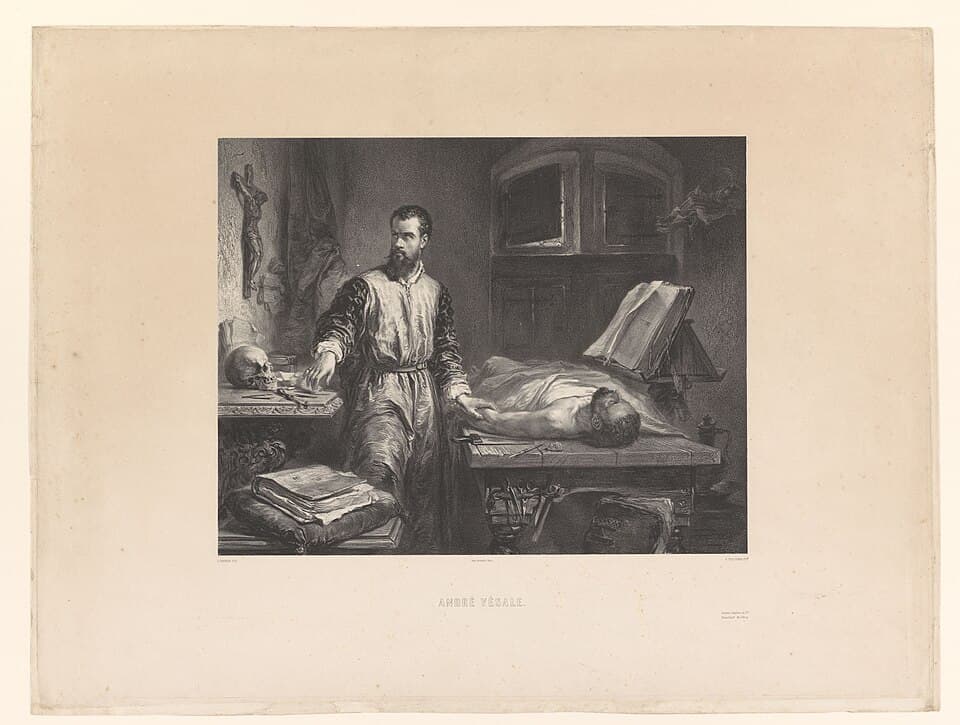 Andreas Vesalius in zijn werkkamer, RP-P-1913-700