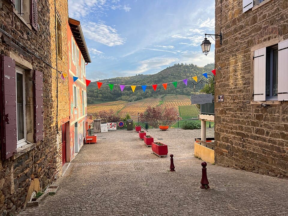 Allée Albert Dubout - Vaux-en-Beaujolais (FR69) - 2022-10-31 - 1