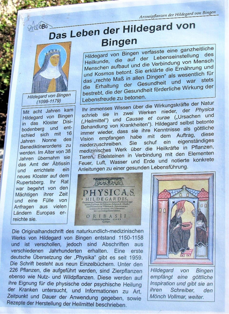 Hildegard von Bingen II